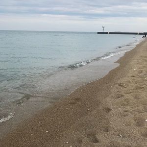 Meet your Posher, Golden